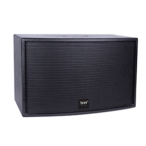 10寸 卡包音响 OK-102