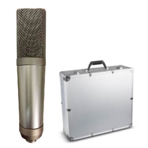 BK-T2000 合唱话筒