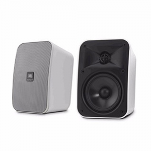 CONTROL X 壁挂音箱