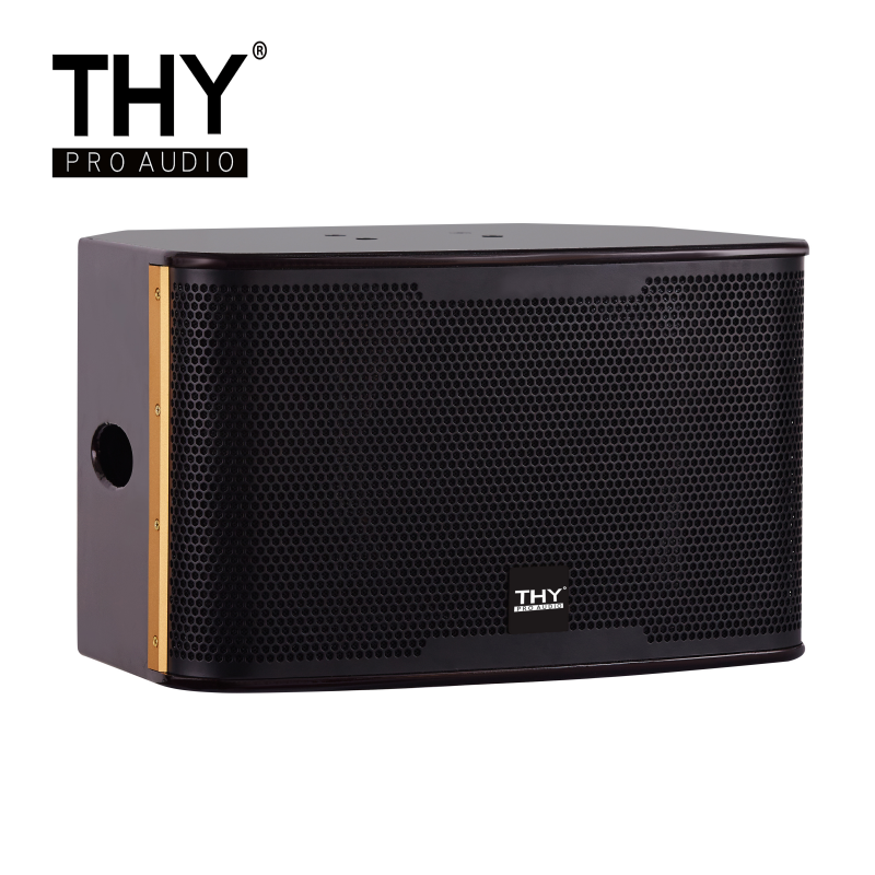 10寸 卡包音响CK50